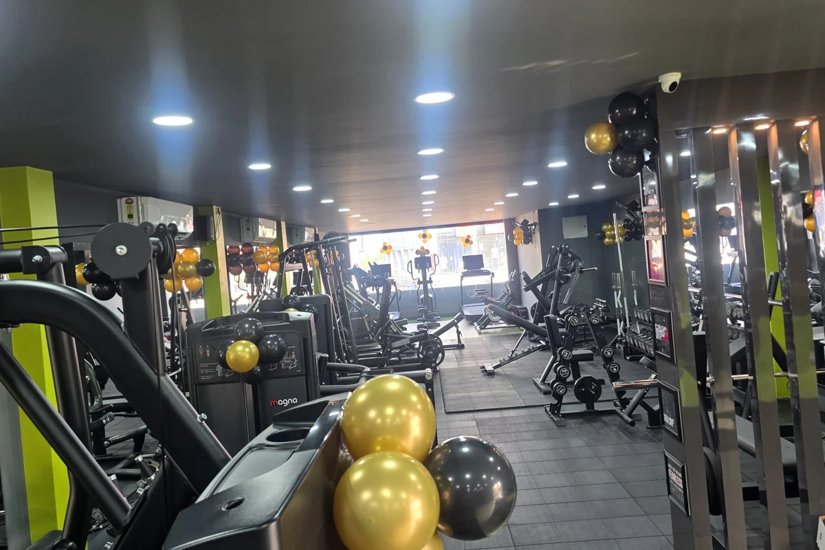 Ares Fitness Imported Machine and Cable Stations